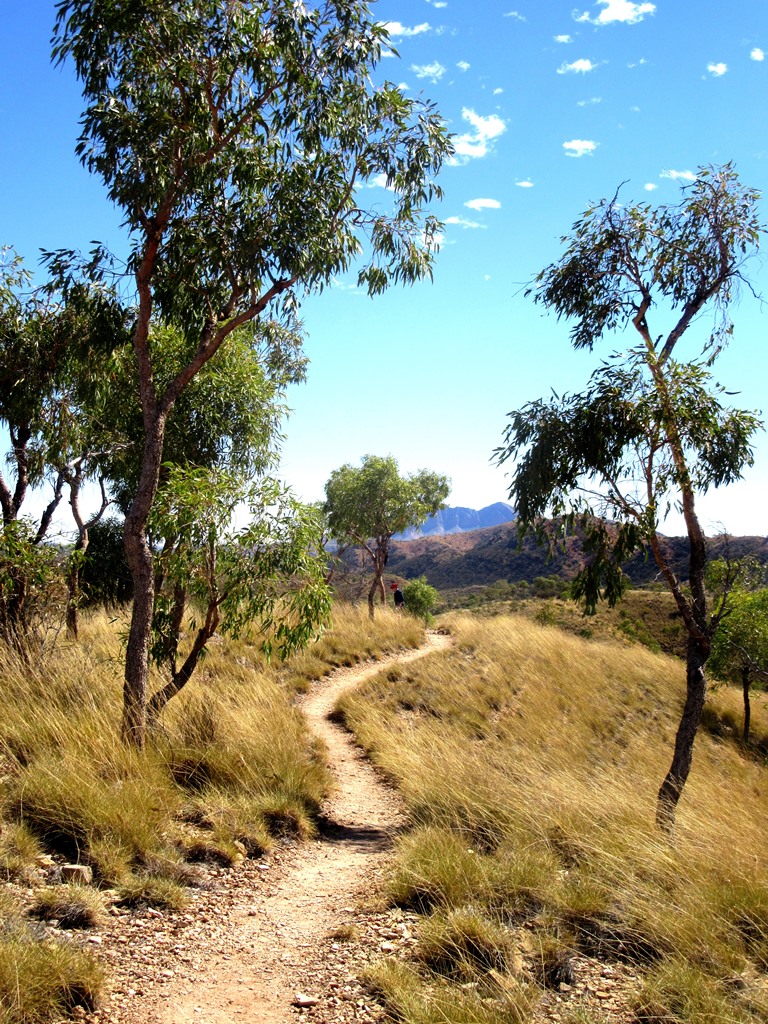 Larapinta Trail