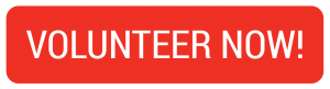 Volunteer Now Button